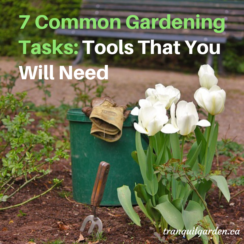 7 Common Gardening Tasks Tools That You Will Need Healthy Fresh