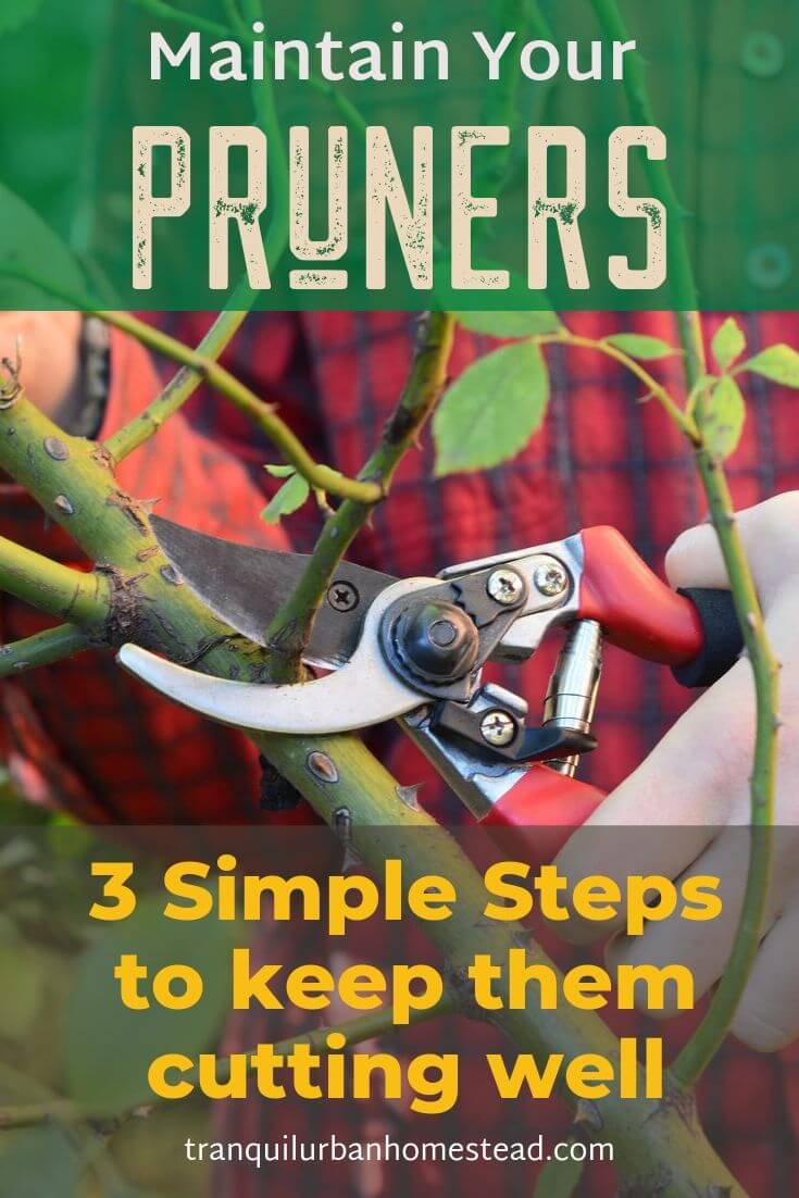 How to Maintain Pruners For Cleaner, Better Cuts Healthy Fresh Homegrown