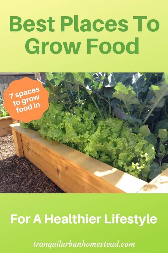 Best Places To Grow Food For A Healthier Lifestyle Healthy Fresh