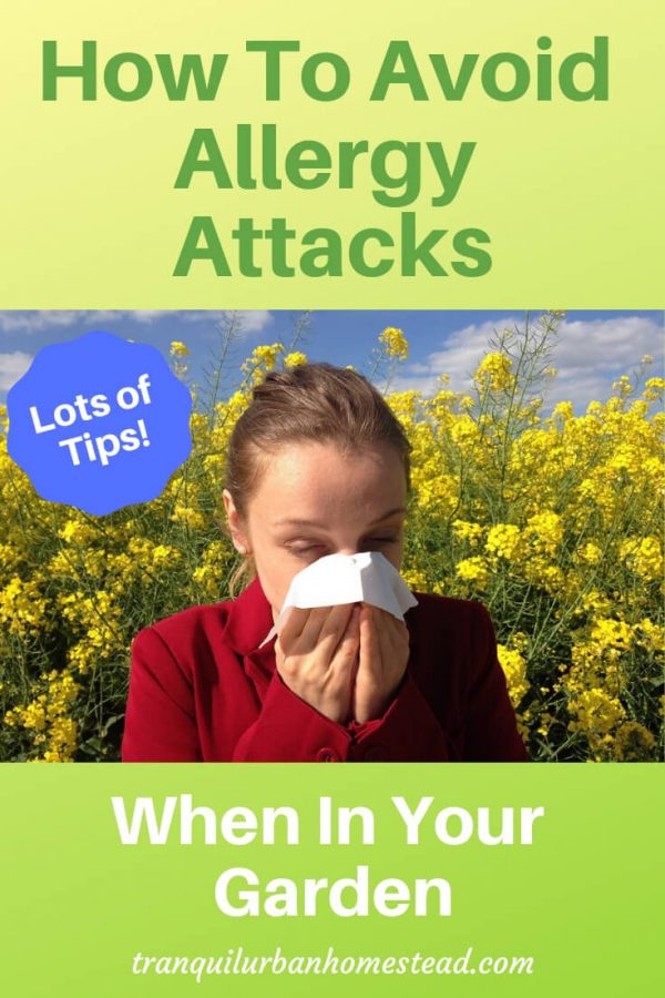 How To Avoid Allergy Attacks When In Your Garden Healthy Fresh
