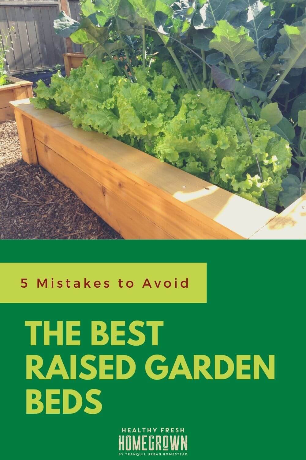 How To Avoid 5 Common Mistakes And Build The Best Raised Garden Beds