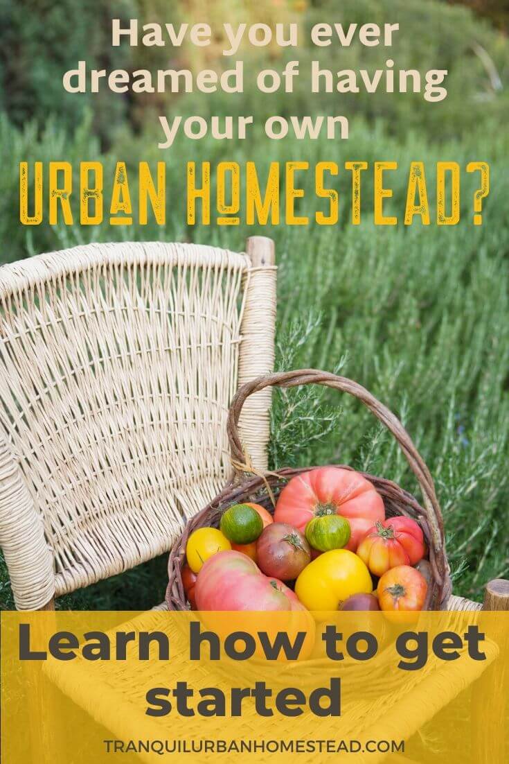 How to Get Started with Urban Homesteading | Healthy Fresh Homegrown by ...