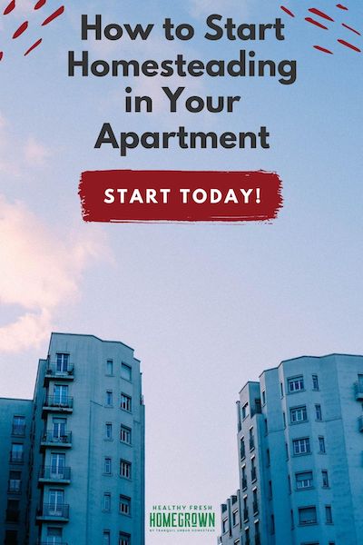 21 Inspiring Ideas To Get Started With Apartment Homesteading - Healthy ... - Homestead Apartment Decor