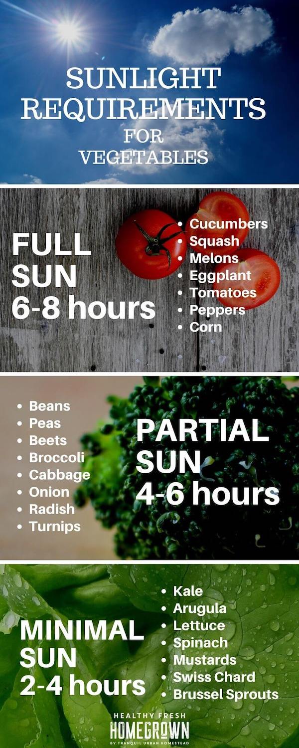 Vegetable Garden Site Preparation How To Find And Prepare The Best