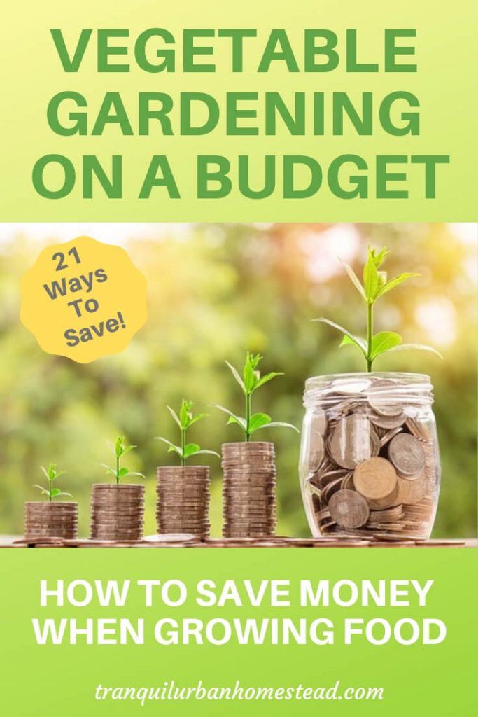 Vegetable Gardening on a Budget 21 Ways to Save Money When Growing