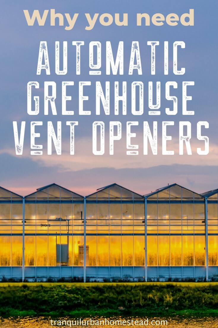 How to Keep Your Cool With Automatic Greenhouse Vent Openers Healthy