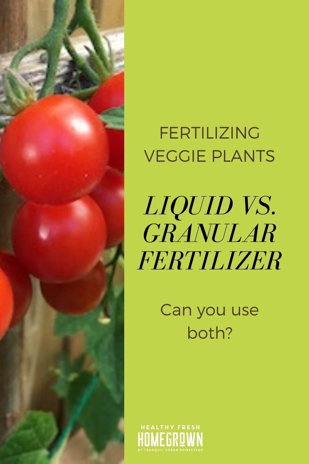 Liquid and Granular Fertilizers For Growing Vegetables Can You Use